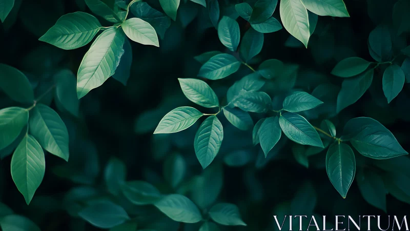 Gentle green leaves offering a calm, soothing forest pause.