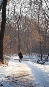 Solitary figure on snowy forest path in winter sunlight.