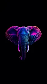 Neon bichromatic elephant head in frontal chromatic isolation.