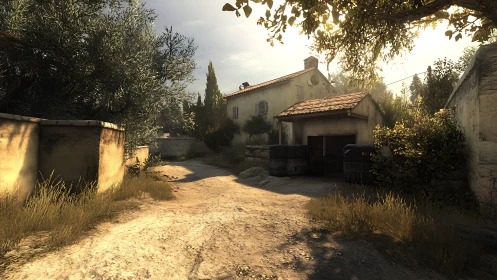 Sunlit rural lane beside weathered house and garage.