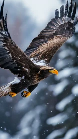 Photorealistic eagle in dynamic winter flight composition.