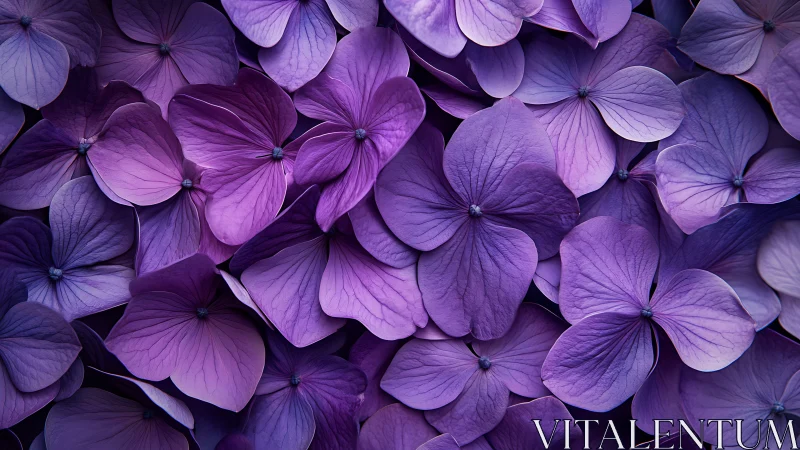 Purple Petals in Perfect Harmony: A Flower Garden Close-Up.
