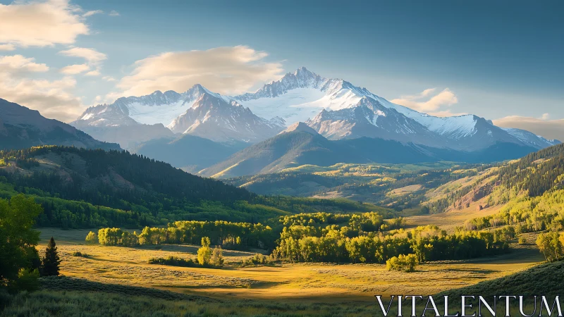 Snow-covered mountain range above sunlit forest valley.