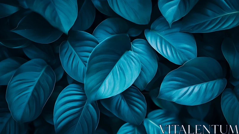 Midnight teal leaves whisper in a velvety forest hush
