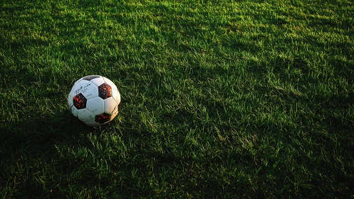 Soccer ball on green grass field in low warm sunlight.
