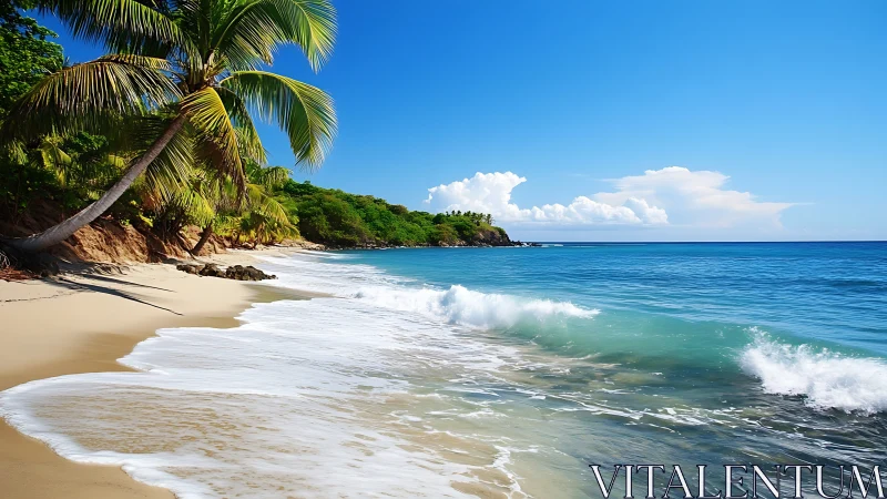 Palm trees lean into waves while the horizon quietly glows