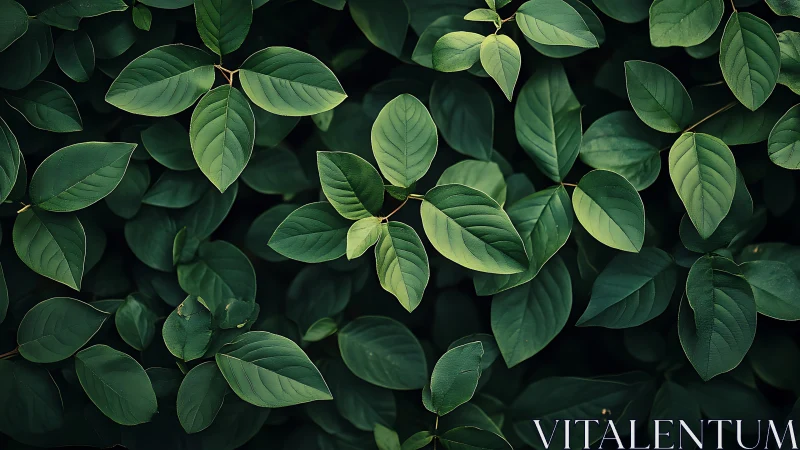 Leafy geometry hums softly in a layered forest canopy