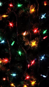 Multicolor string lights glow across dense dark foliage.