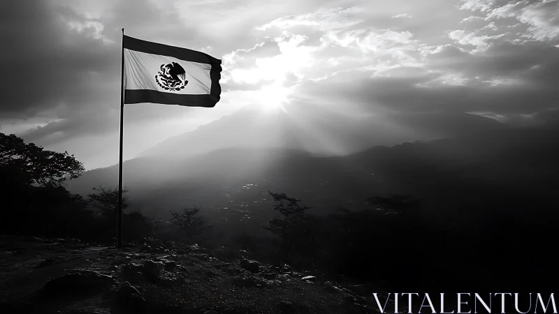 Monochrome landscape with Mexican flag in backlit silhouette.