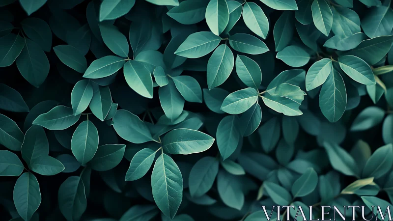 Dense teal foliage captured with shallow depth and soft lighting
