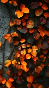 Autumn vine leaves climb textured stone wall in warm contrast.