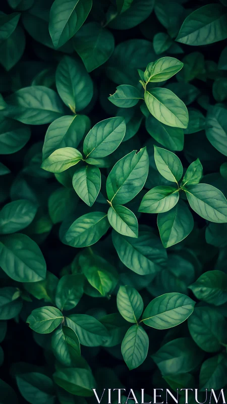 Green foliage pattern with overlapping oval leaves.