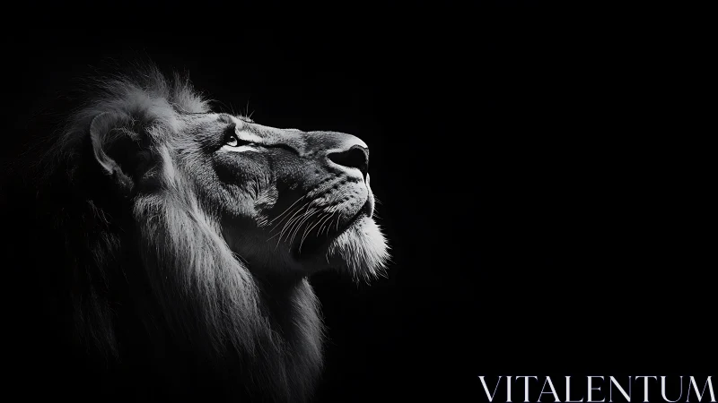 Lion profile glows under dramatic low key side light.