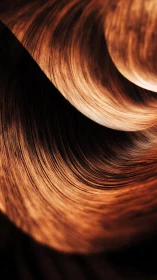 Curved copper-toned abstract swirl with textured lines.