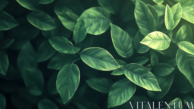 Dense green foliage rendered with shallow depth and soft rim lighting