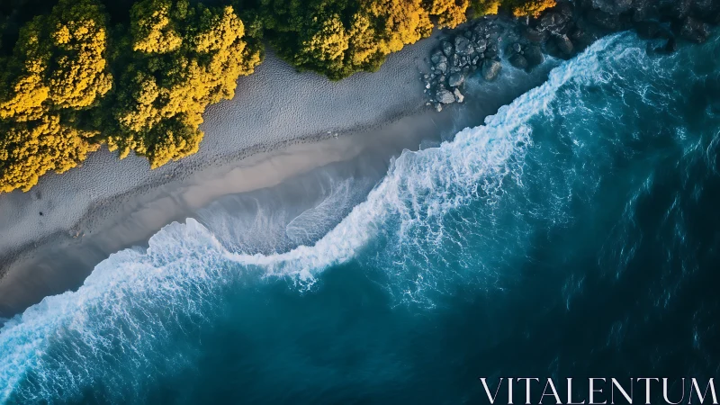 Aerial shoreline with golden forest and cyan breaking waves.