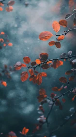 Red autumn leaves on branch against soft blue bokeh background.
