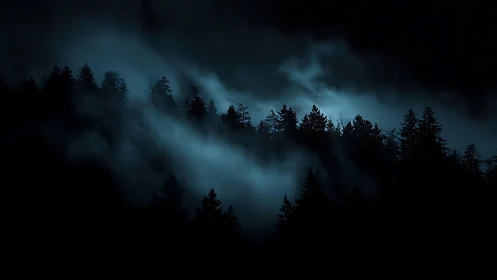 Nocturnal conifer ridge veiled in cinematic blue fog.