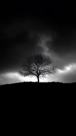 Lone winter tree crowns dark hill under storm sky.