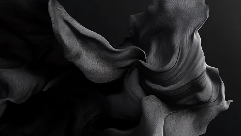 Monochrome abstract flowing forms with fine linear texture.
