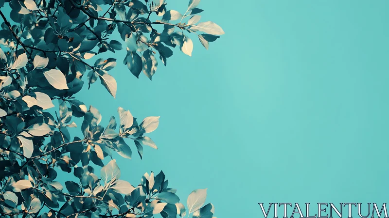 Minimalist leafy branches on turquoise background, modern style.
