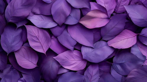 Chromatic macro array of violet leaves in layered tessellation.