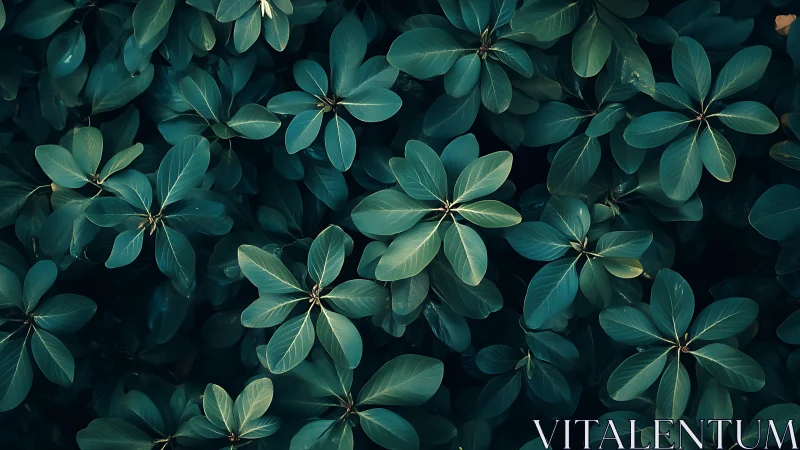 Dense green foliage with overlapping oval leaves pattern.