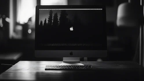 Quiet desktop sanctuary with glowing screen in grayscale.