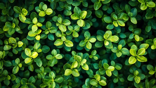 Vibrant green foliage pattern with luminous leaf clusters.
