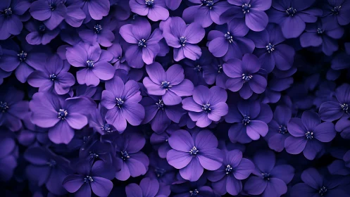 Purple Floral Cluster in Dense Botanical Arrangement.