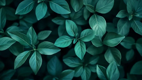 Gentle teal leaves creating a calm, soothing forest carpet.