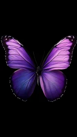 Radiant violet butterfly glowing against deep night sky.