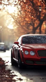 Red luxury coupe parked along a sunlit autumn avenue.