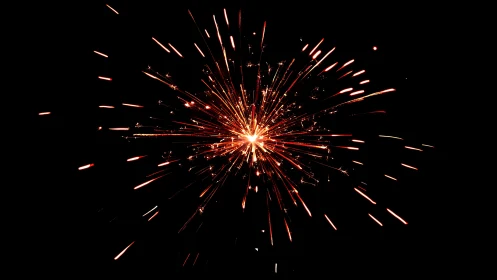 Firework burst sparks against deep black night sky.
