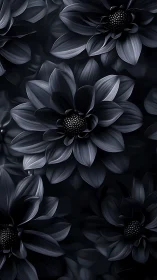 Monochromatic Dahlia Flowers with Textured Petals Against Dark Background