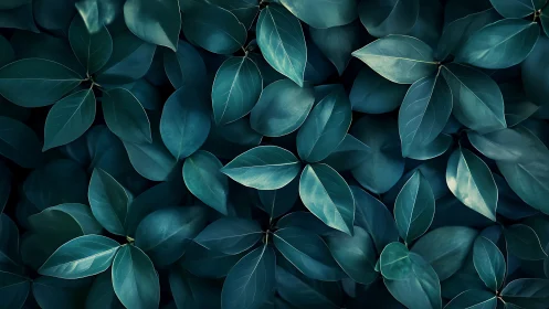 Deep teal foliage pattern with overlapping leaves.