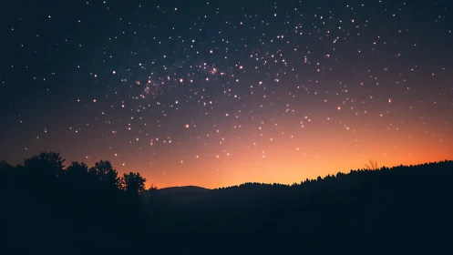Star-filled dusk sky glows above a tranquil forest horizon