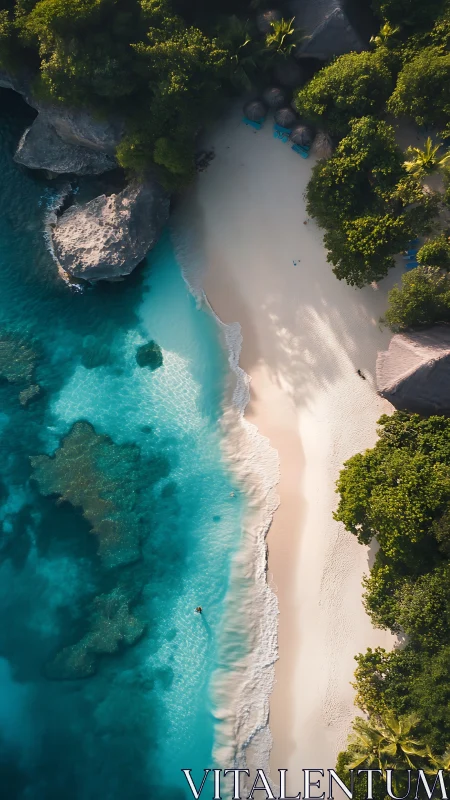 Tropical Paradise from Above: Pristine Beach and Turquoise Waters.