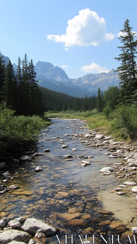 Mountain river with conifer forest and distant peaks view.