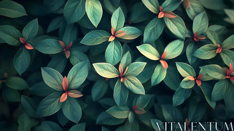 Radial foliage rosette pattern with teal leaves and coral bracts