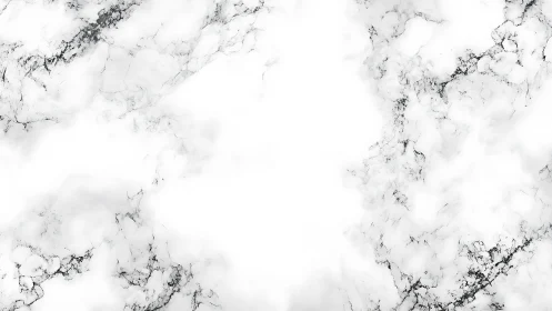 White marble texture forms a clean, luxurious design backdrop
