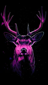 Neon stag portrait in vibrant magenta glow against black.