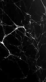 High-contrast cobweb filaments form an abstract spatial network
