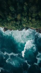 Aerial coastal boundary of forested cliff and ocean surf.