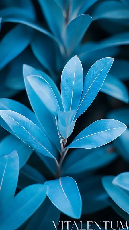 Macro foliage study in cool monochrome botanical rendering.