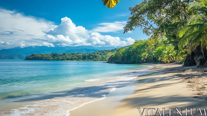 Tropical Paradise Beach with Mountain Views.