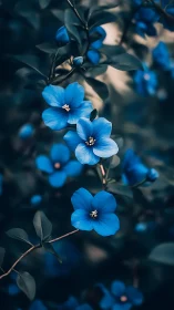 Celestial Petals: Where Deep Blue Blooms Whisper Against Darkness