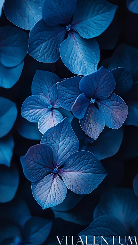Azure Hydrangea Petals Glowing in Moonlit Darkness.