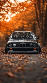 Classic black BMW coupe on leaf-strewn autumn forest road.