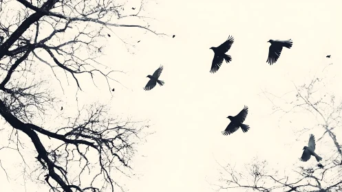 Black birds flying among bare trees in minimalist monochrome style.
